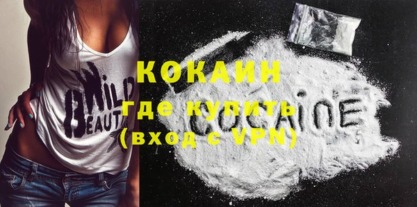 молекула духа Михайлов