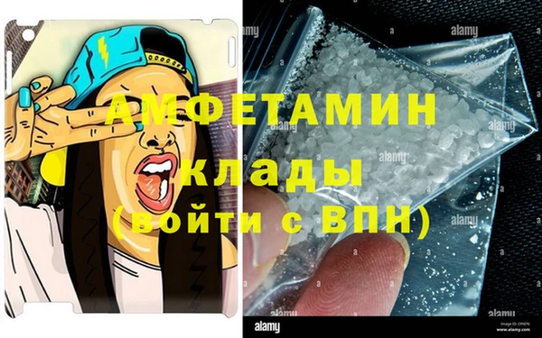 молекула духа Михайлов